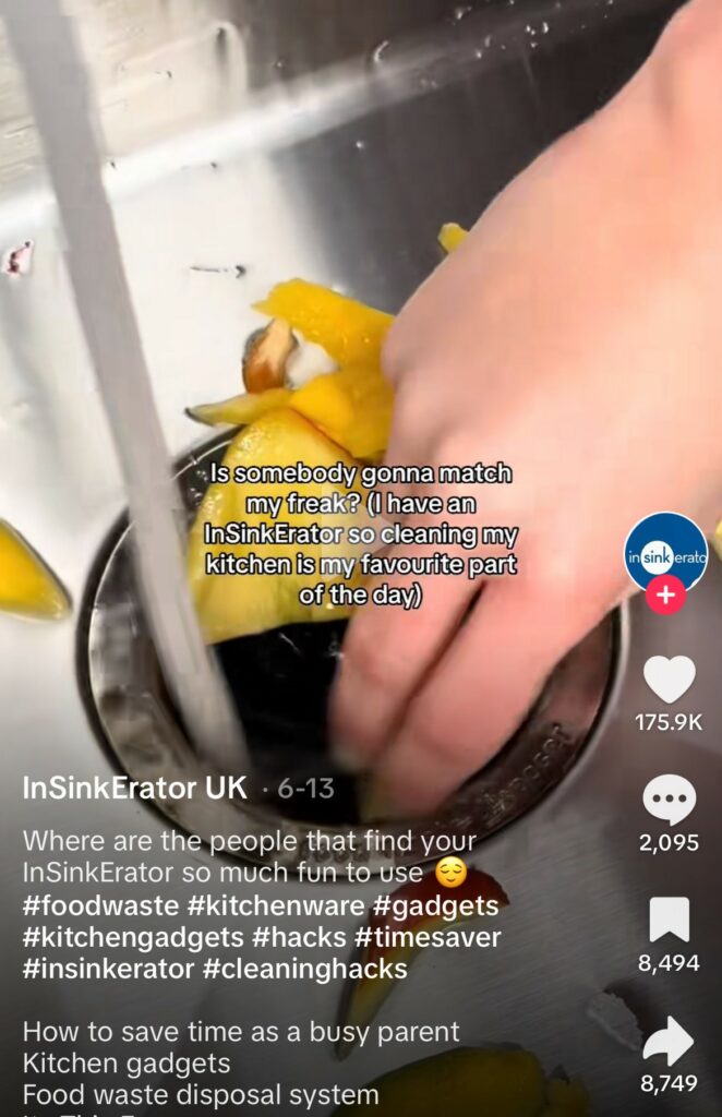 InSinkErator video goes viral on TikTok with 10 million views